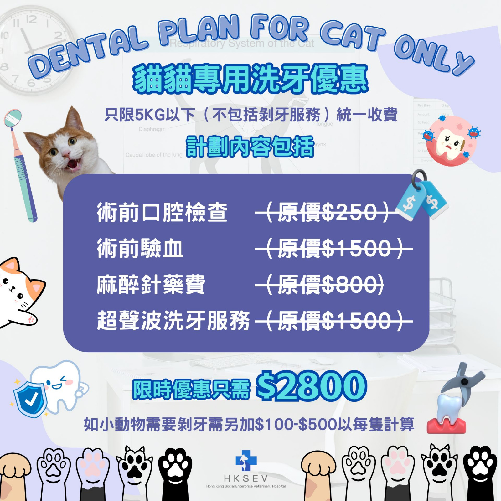 旺角獸醫診所｜2025貓狗專業洗牙套餐優惠｜貓狗口臭問題解決專家